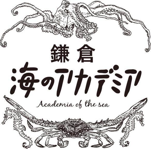 鎌倉 海のアカデミア 18 Root Culture ルートカルチャー